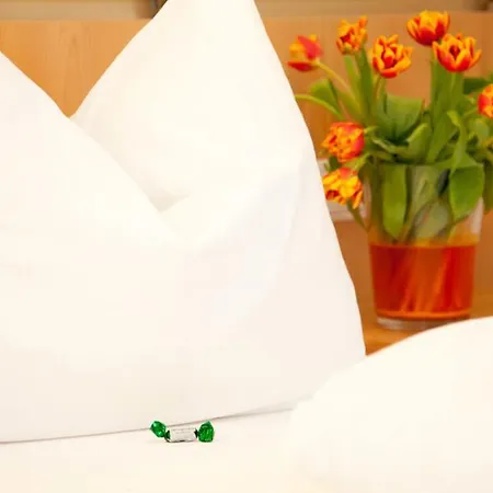 Hotel Kohlpeter Salzbourg