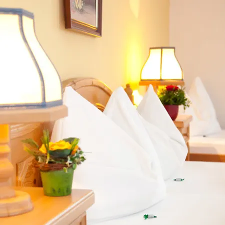 Kohlpeter Hotel Salzbourg