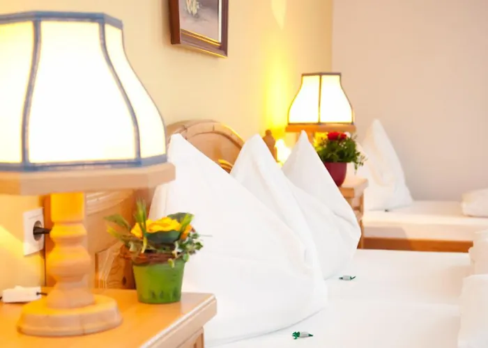 Kohlpeter Hotel Salzburgo